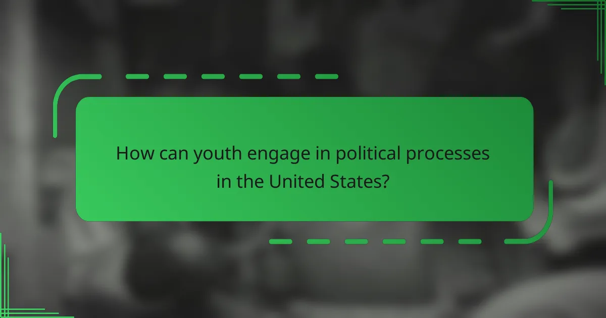 How can youth engage in political processes in the United States?
