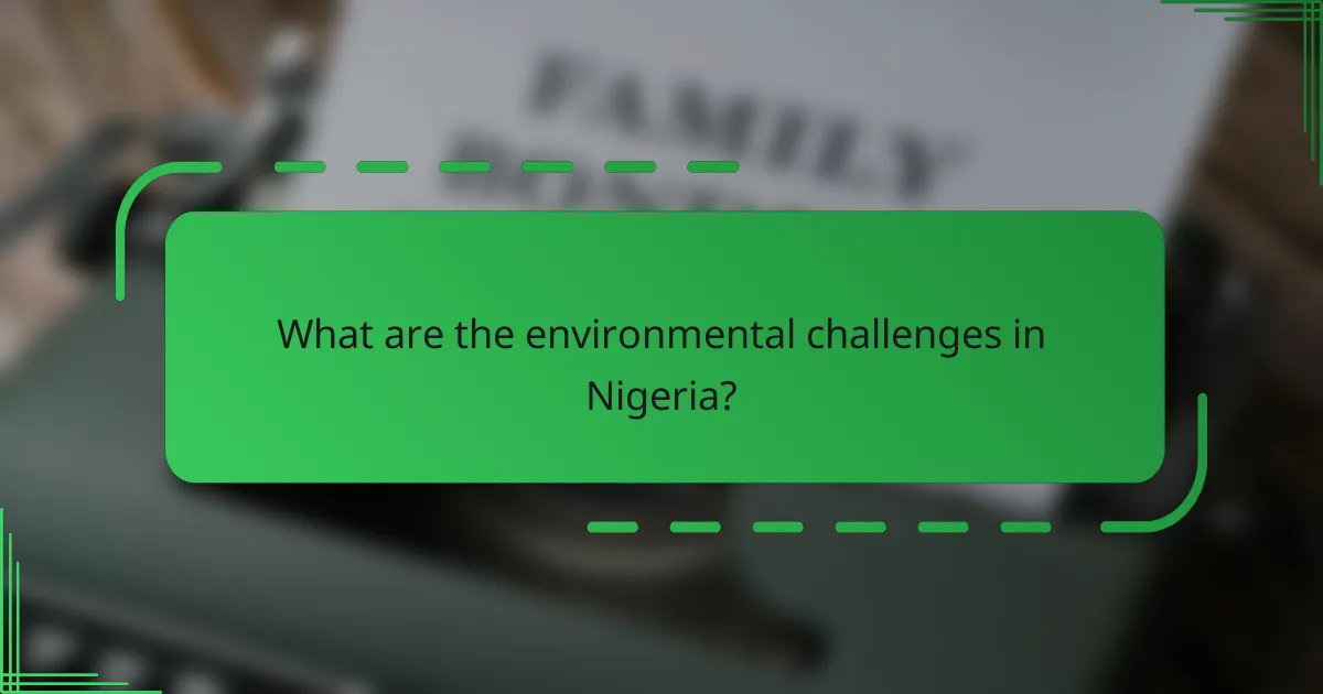 What are the environmental challenges in Nigeria?