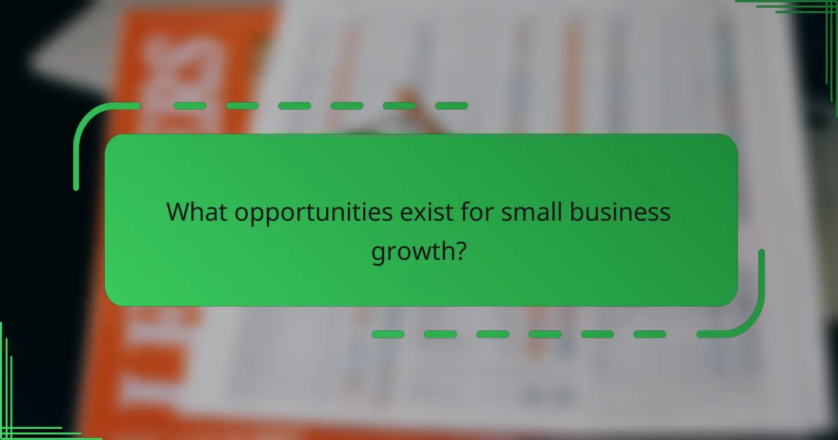 What opportunities exist for small business growth?